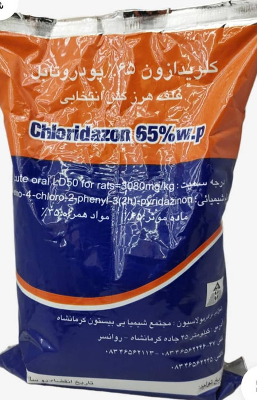 سم علف کش پیرامین (کلریدازون) برای چغندر قند؛ 1 کیلویی